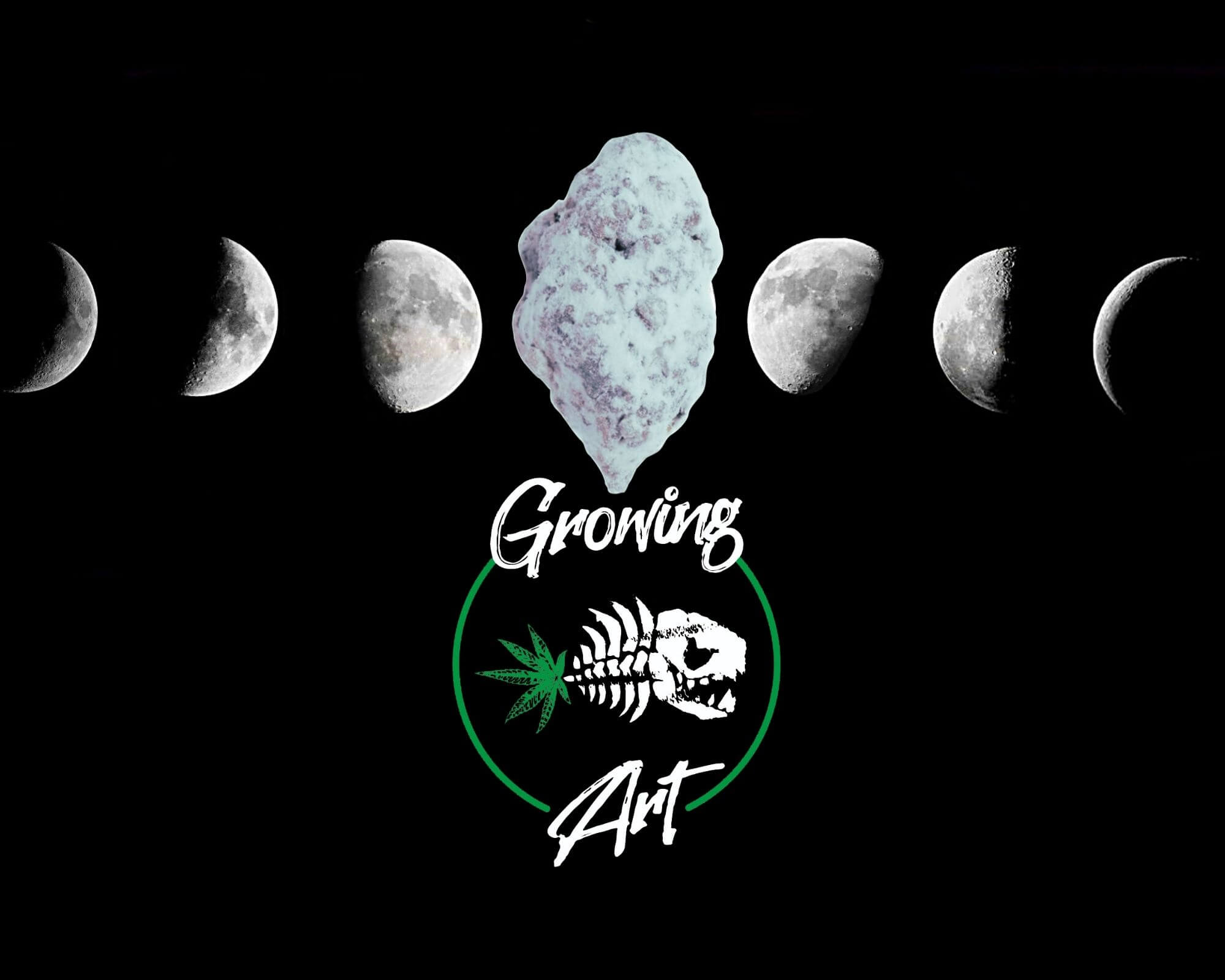 growing art cannabis light cbd canapa legale moonrock ice  lunablog